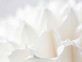 Détail d'une sculpture en papier plissé